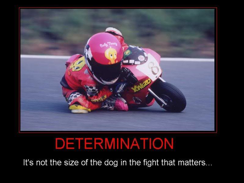 Name:  determination.jpg
Views: 7
Size:  45.0 KB